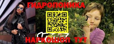 гашик Ливны