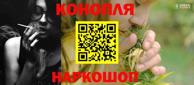 гашик Ливны