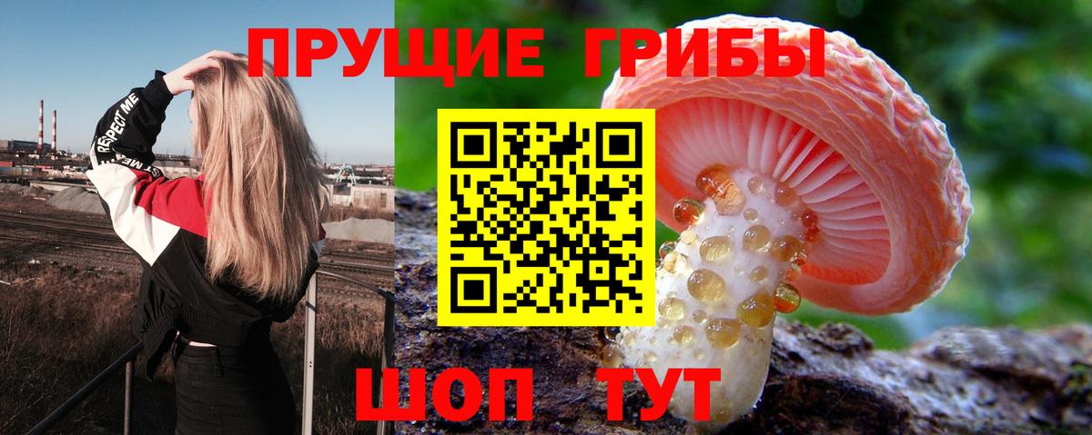 Дербент  Галлюциногенные грибы ЛСД  Вход с VPN 